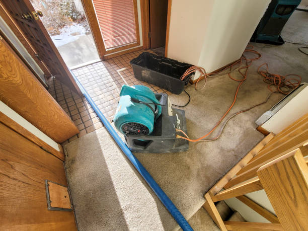 Best Sewage Cleanup and Restoration in USA